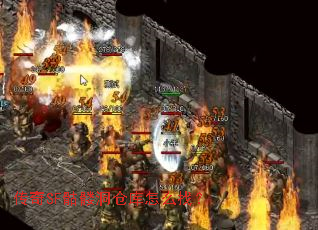 ����SF���ö��ֿ���ô�ң�