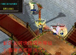新区如何快速提升等级?有哪些实用技巧? 新区如何快速提升等级?有哪些实用技巧?