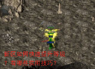 ������ο��������ȼ�������Щʵ�ü��ɣ�