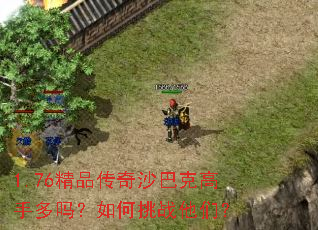 1.76��Ʒ����ɳ�Ϳ˸��ֶ��������ս���ǣ�