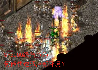 SF3000级角色为何能快速适应新环境? SF3000级角色为何能快速适应新环境?