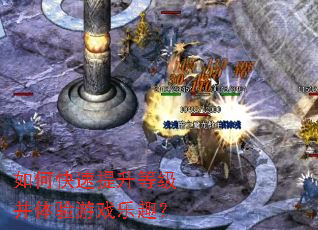 ��ο��������ȼ���������Ϸ��Ȥ��