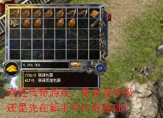 刚进传奇游戏,是直接冲级还是先在新手村打好基础? 刚进传奇游戏,是直接冲级还是先在新手村打好基础?