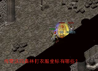 ��������ɭ�ִ��·���������Щ��