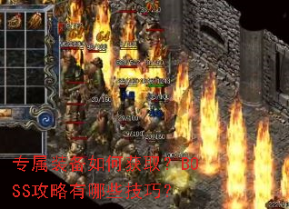 ר��װ����λ�ȡ��BOSS��������Щ���ɣ�