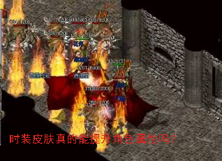 ʱװƤ�������������ɫ������