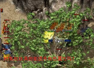 ʱװƤ�������������ɫ������