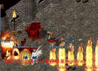 盟重树妖的具体位置在哪里? 盟重树妖的具体位置在哪里?