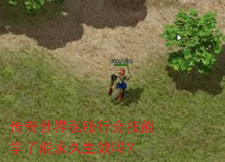 ��������˽���лἼ��ѧ����������Ч��