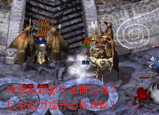 传奇私服称号如何选择?玩家战力提升必备攻略? 传奇私服称号如何选择?玩家战力提升必备攻略?