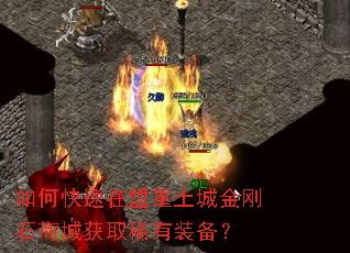 ��ο������������ǽ��ʯ�̳ǻ�ȡϡ��װ����