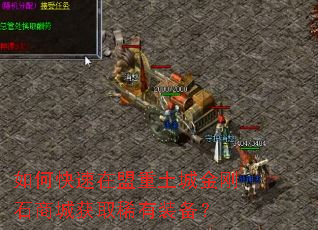 ��ο������������ǽ��ʯ�̳ǻ�ȡϡ��װ����