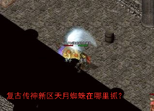 复古传神新区天月蜘蛛在哪里抓? 复古传神新区天月蜘蛛在哪里抓?