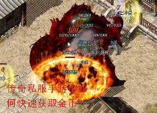 ����˽����������ο��ٻ�ȡ��ң�