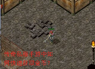 ����˽����������ο��ٻ�ȡ��ң�