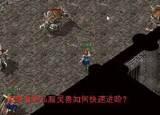 ��������˽��������ο��ٽ��ף�