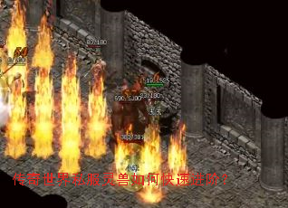 ��������˽��������ο��ٽ��ף�