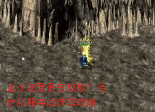 �������ǹ���Ȩ�ȣ�����˽��ʵսѡ����