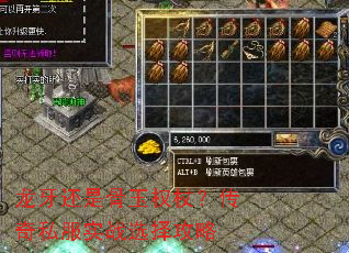 �������ǹ���Ȩ�ȣ�����˽��ʵսѡ����