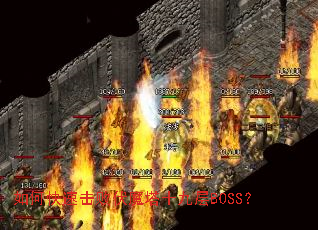 ��ο��ٻ��ܷ�ħ��ʮ�Ų�BOSS��