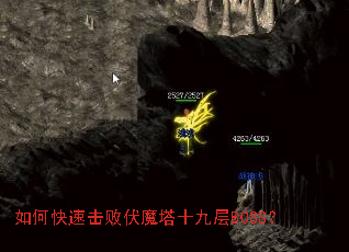 ��ο��ٻ��ܷ�ħ��ʮ�Ų�BOSS��