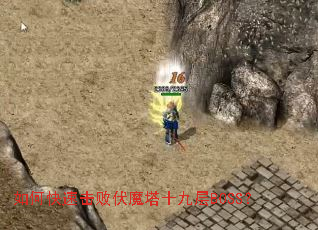 ��ο��ٻ��ܷ�ħ��ʮ�Ų�BOSS��