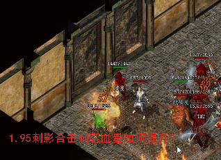 1.95��Ӱ�ϻ��̿�Ѫ�����������