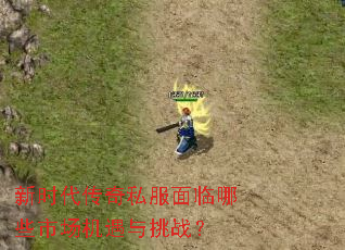 ��ʱ������˽��������Щ�г���������ս��