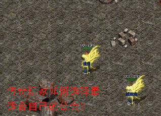 ����������ѡ�����ʺ��Լ��Ĺ��᣿