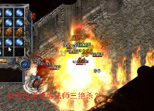 ��ο���������ʦ����ɱ��