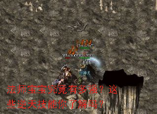 ��ʦ���������ж�ǿ����Щ���켼�����˽���