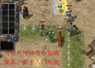 �����⴫GM�������ʹ�ã���������ָ��