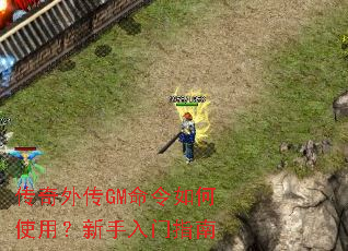 �����⴫GM�������ʹ�ã���������ָ��