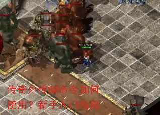 �����⴫GM�������ʹ�ã���������ָ��