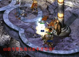 65������˽�������������죿