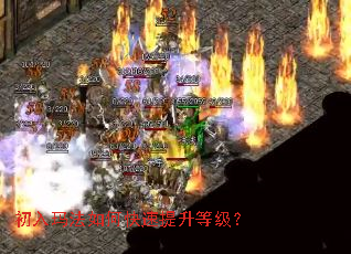 �����귨��ο��������ȼ���