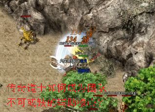 �����ʿ��γ�Ϊ�ŶӲ��ɻ�ȱ�ĸ������ģ�