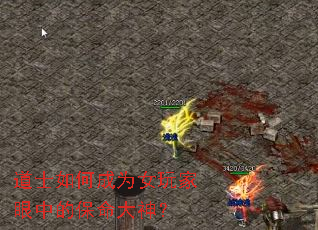 ��ʿ��γ�ΪŮ������еı�������