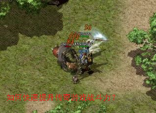 ��ο�������������Ϸս������