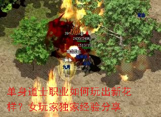 单身道士职业如何玩出新花样?女玩家独家经验分享 单身道士职业如何玩出新花样?女玩家独家经验分享