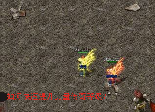 ��ο���������������ȼ���