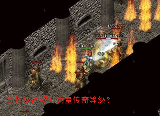 ��ο���������������ȼ���