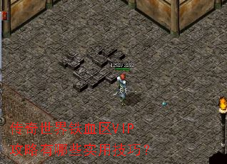 传奇世界铁血区VIP攻略有哪些实用技巧? 传奇世界铁血区VIP攻略有哪些实用技巧?