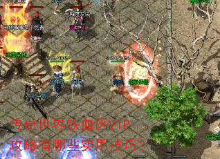 ����������Ѫ��VIP��������Щʵ�ü��ɣ�