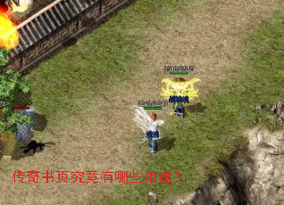 ������ҳ��������Щ��;��