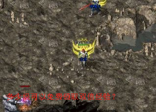 ���ټ����������ȡ˫�����飿