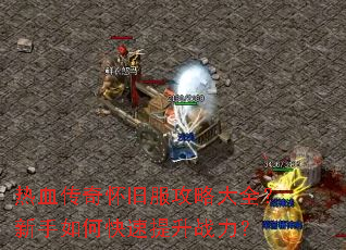 ��Ѫ���滳�ɷ����Դ�ȫ��������ο�������ս����