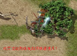 ���漼����������ο���������