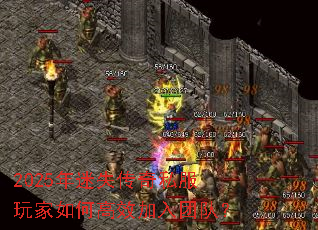 2025����ʧ����˽�������θ�Ч�����Ŷӣ�