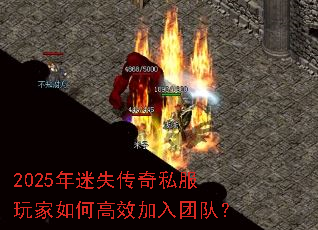 2025����ʧ����˽�������θ�Ч�����Ŷӣ�